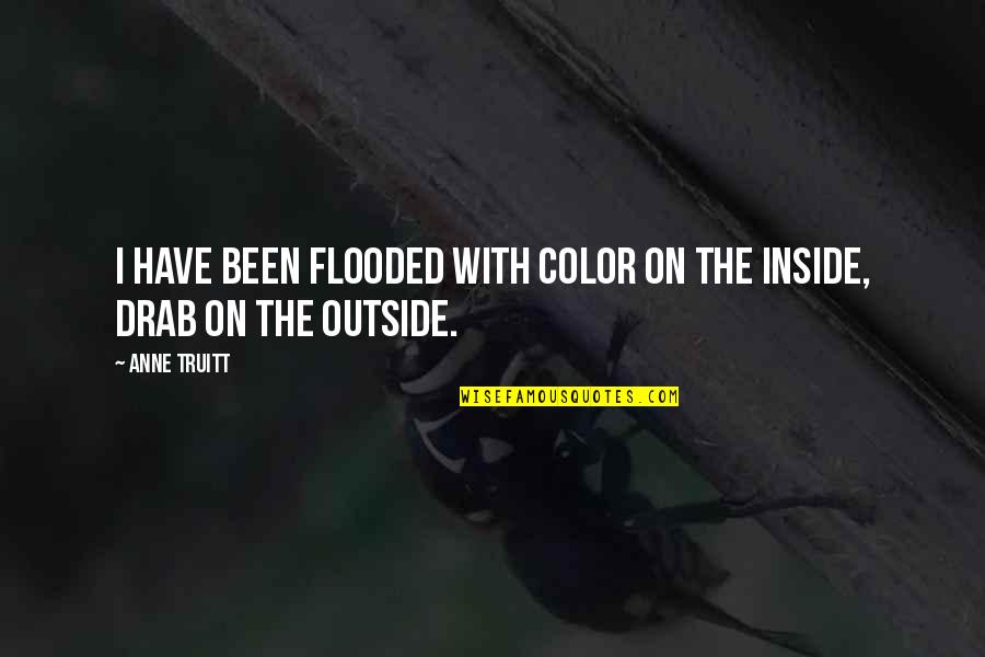 Kawanabe Kyosai Quotes By Anne Truitt: I have been flooded with color on the