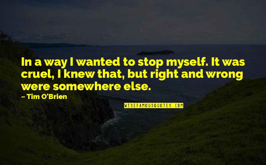 Kawatetsu Quotes By Tim O'Brien: In a way I wanted to stop myself.