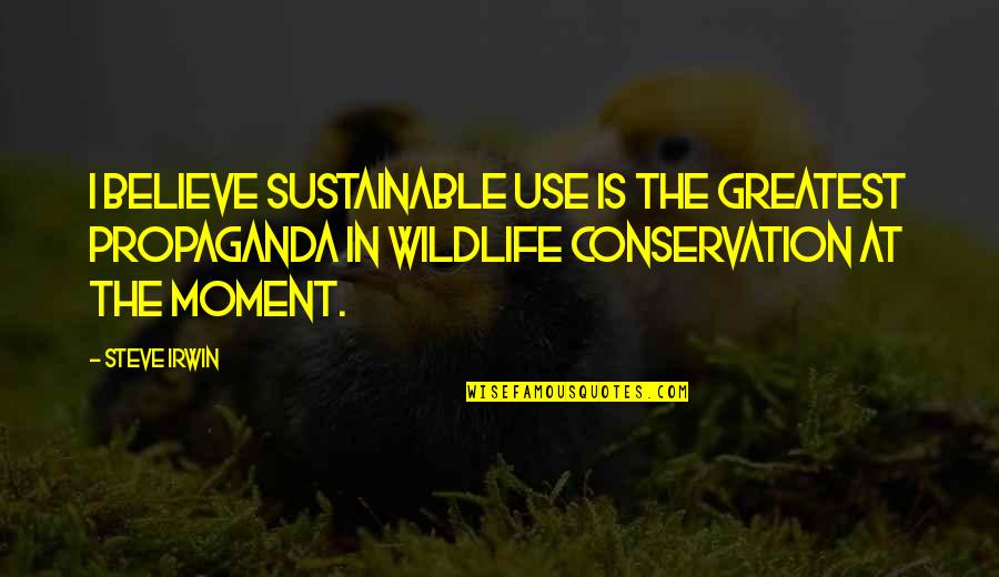 Kawazoe Maguire Quotes By Steve Irwin: I believe sustainable use is the greatest propaganda