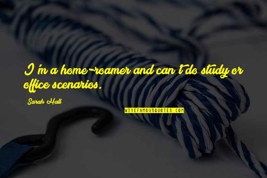 Kay Bojesen Quotes By Sarah Hall: I'm a home-roamer and can't do study or