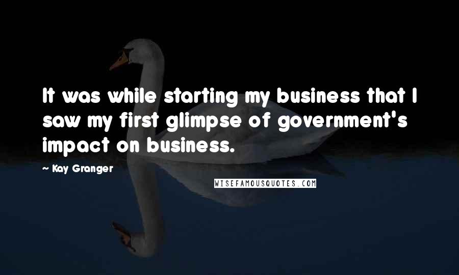 Kay Granger quotes: It was while starting my business that I saw my first glimpse of government's impact on business.
