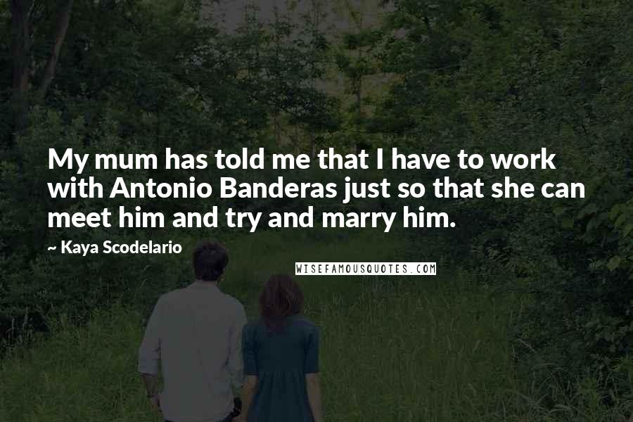 Kaya Scodelario quotes: My mum has told me that I have to work with Antonio Banderas just so that she can meet him and try and marry him. Kaya Scodelario quotes: My mum has told me that I have to work with Antonio Banderas just so that she can meet him and try and marry him.