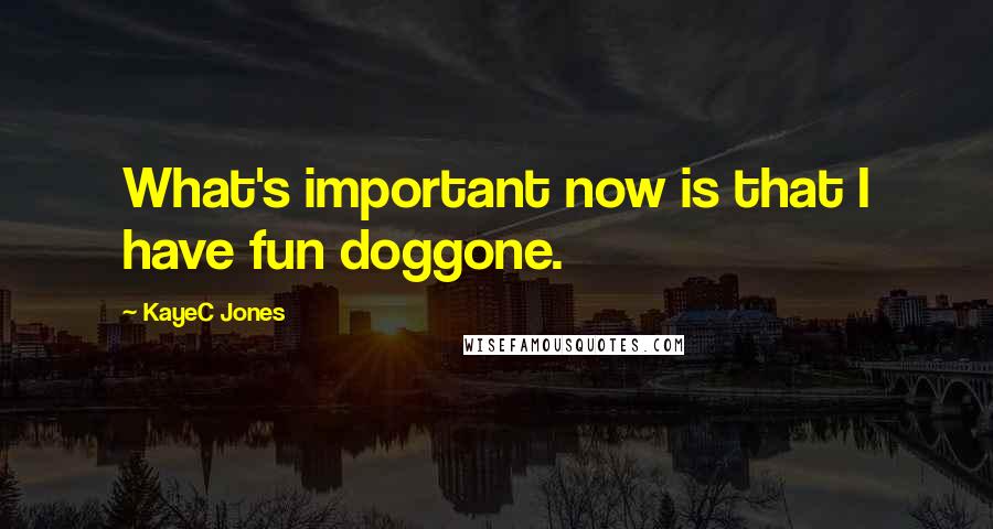 KayeC Jones quotes: What's important now is that I have fun doggone.