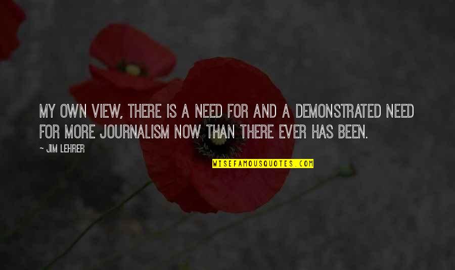Kayembe Le Quotes By Jim Lehrer: My own view, there is a need for