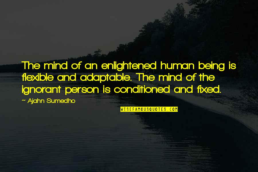 Kayembe Means Quotes By Ajahn Sumedho: The mind of an enlightened human being is Kayembe Means Quotes By Ajahn Sumedho: The mind of an enlightened human being is