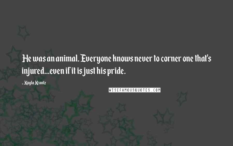 Kayla Krantz quotes: He was an animal. Everyone knows never to corner one that's injured...even if it is just his pride.
