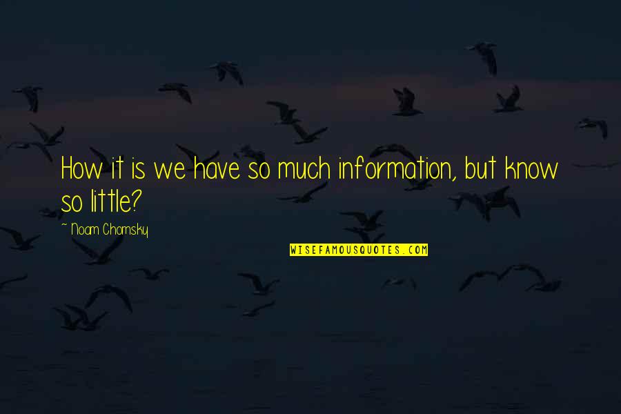 Kayleen Asbo Quotes By Noam Chomsky: How it is we have so much information, Kayleen Asbo Quotes By Noam Chomsky: How it is we have so much information,