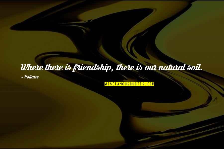 Kayso Quotes By Voltaire: Where there is friendship, there is our natural