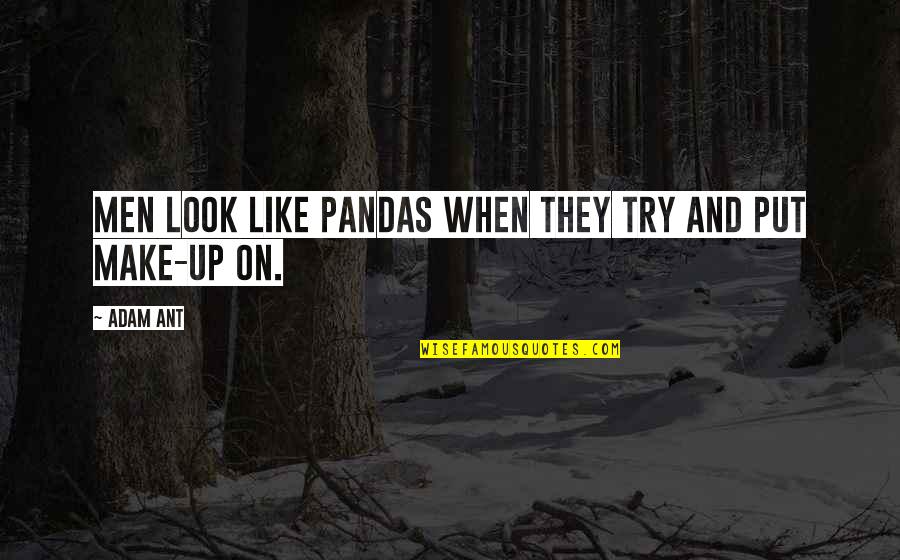 Kaytee Products Quotes By Adam Ant: Men look like pandas when they try and