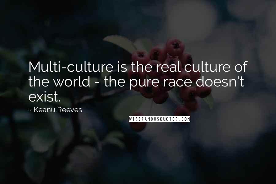 Keanu Reeves quotes: Multi-culture is the real culture of the world - the pure race doesn't exist.