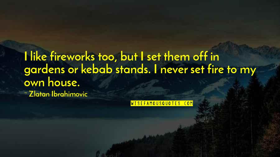 Kebab Quotes By Zlatan Ibrahimovic: I like fireworks too, but I set them