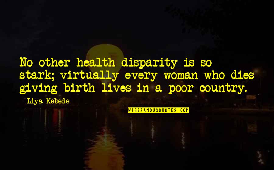 Kebede's Quotes By Liya Kebede: No other health disparity is so stark; virtually