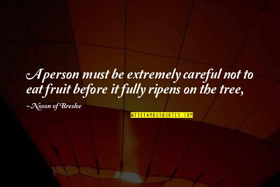 Kebehut Quotes By Noson Of Breslov: A person must be extremely careful not to Kebehut Quotes By Noson Of Breslov: A person must be extremely careful not to