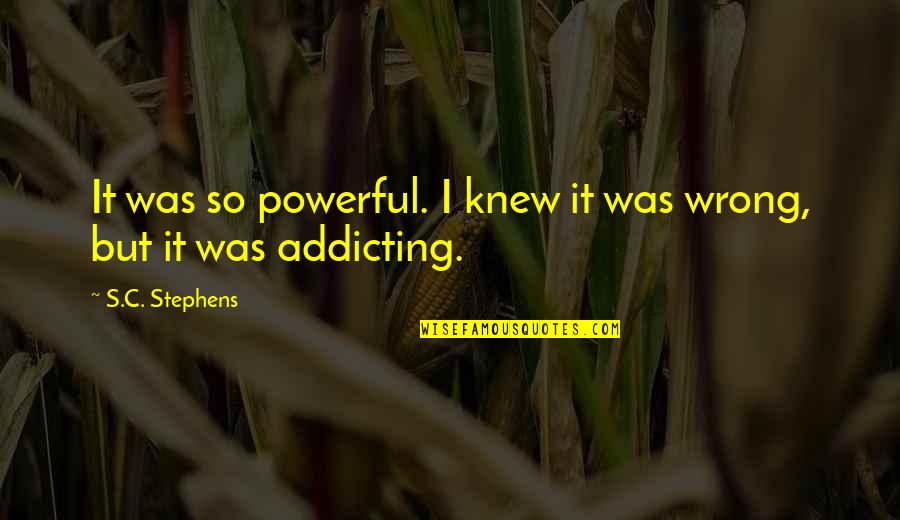 Kebijakan Fiskal Quotes By S.C. Stephens: It was so powerful. I knew it was