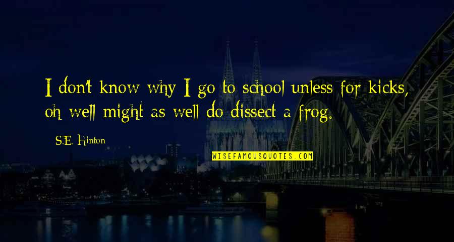 Kebodohan Menurut Quotes By S.E. Hinton: I don't know why I go to school Kebodohan Menurut Quotes By S.E. Hinton: I don't know why I go to school