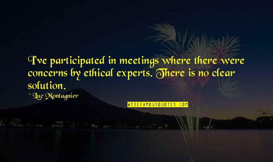 Kecemasan Merupakan Quotes By Luc Montagnier: I've participated in meetings where there were concerns