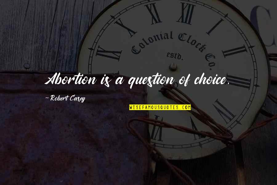 Kedamaian Sejati Quotes By Robert Casey: Abortion is a question of choice.