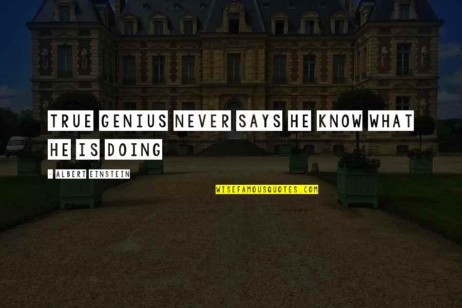 Keeing Quotes By Albert Einstein: True genius never says he know what he