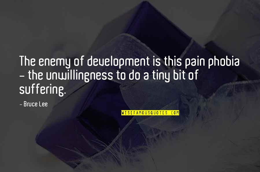 Keep Aiming Quotes By Bruce Lee: The enemy of development is this pain phobia