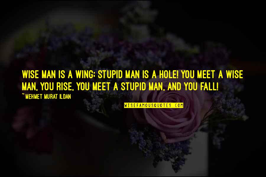 Keep Calm Down Quotes By Mehmet Murat Ildan: Wise man is a wing; stupid man is