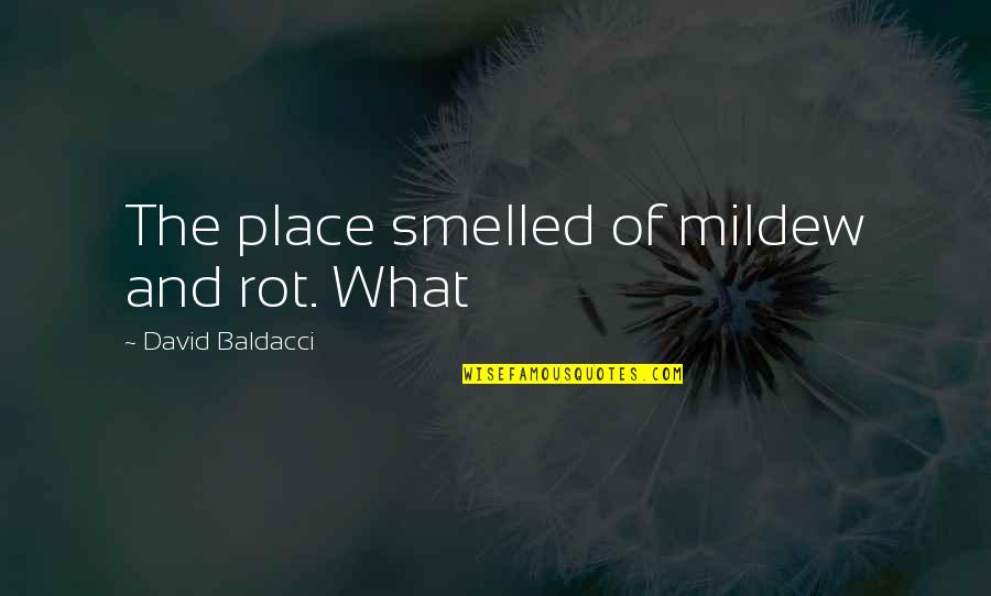 Keep Calm Exercise Quotes By David Baldacci: The place smelled of mildew and rot. What