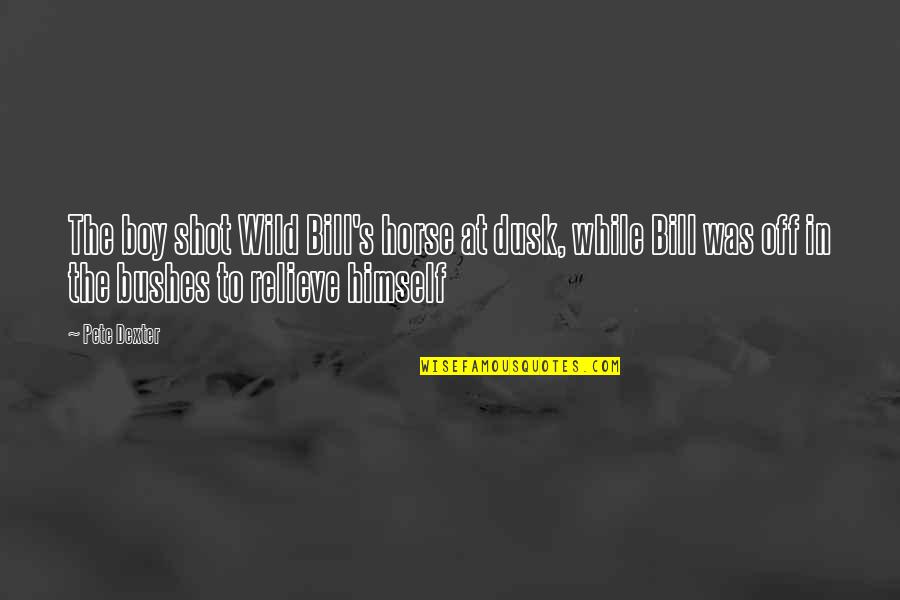 Keep Family Safe Quotes By Pete Dexter: The boy shot Wild Bill's horse at dusk, Keep Family Safe Quotes By Pete Dexter: The boy shot Wild Bill's horse at dusk,