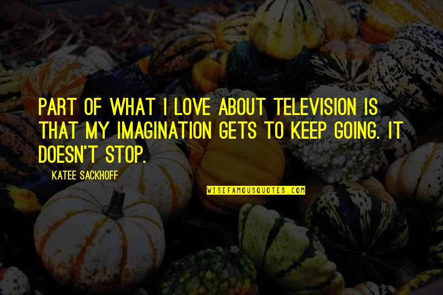 Keep Going I Love You Quotes By Katee Sackhoff: Part of what I love about television is