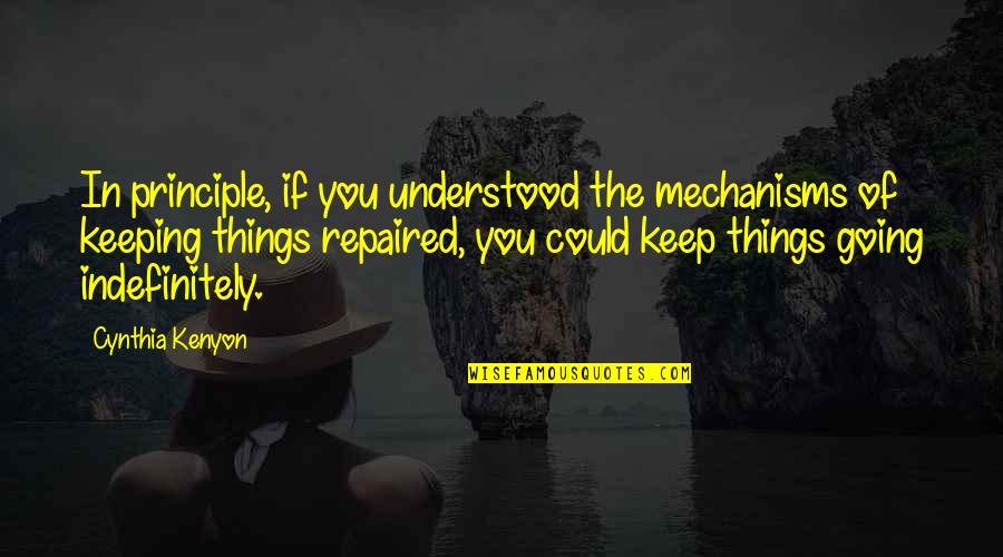 Keep Going Quotes By Cynthia Kenyon: In principle, if you understood the mechanisms of