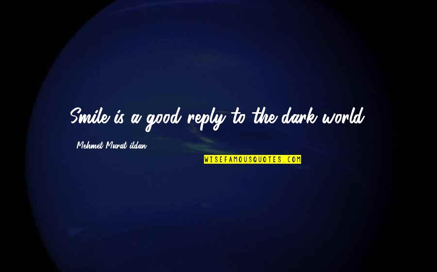Keep Going Workout Quotes By Mehmet Murat Ildan: Smile is a good reply to the dark