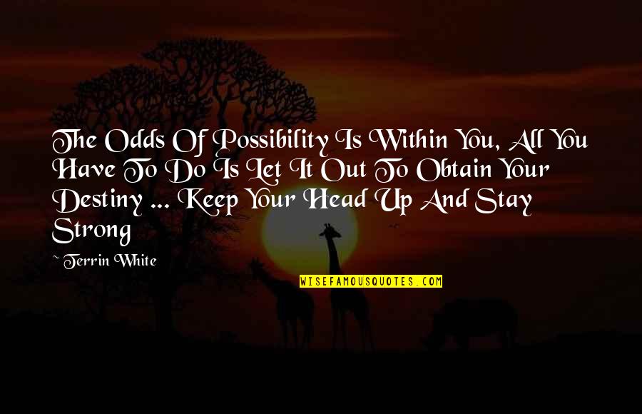 Keep Head Up Quotes By Terrin White: The Odds Of Possibility Is Within You, All