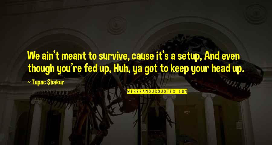 Keep Head Up Quotes By Tupac Shakur: We ain't meant to survive, cause it's a