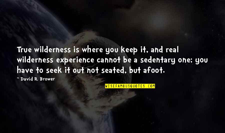Keep It Real Quotes By David R. Brower: True wilderness is where you keep it, and