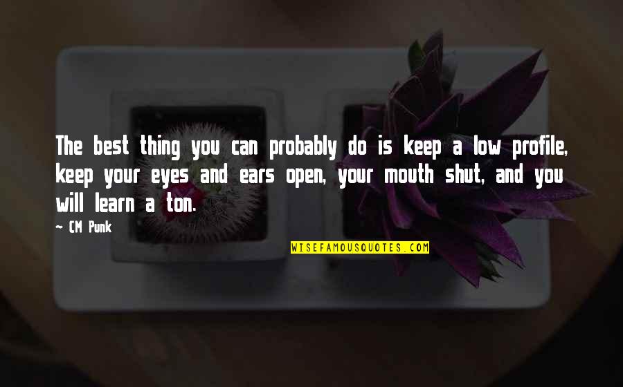 Keep Low Profile Quotes By CM Punk: The best thing you can probably do is Keep Low Profile Quotes By CM Punk: The best thing you can probably do is