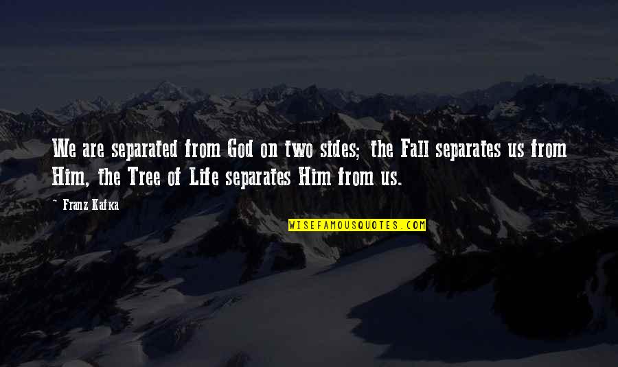 Keep Me Strong Quotes By Franz Kafka: We are separated from God on two sides;