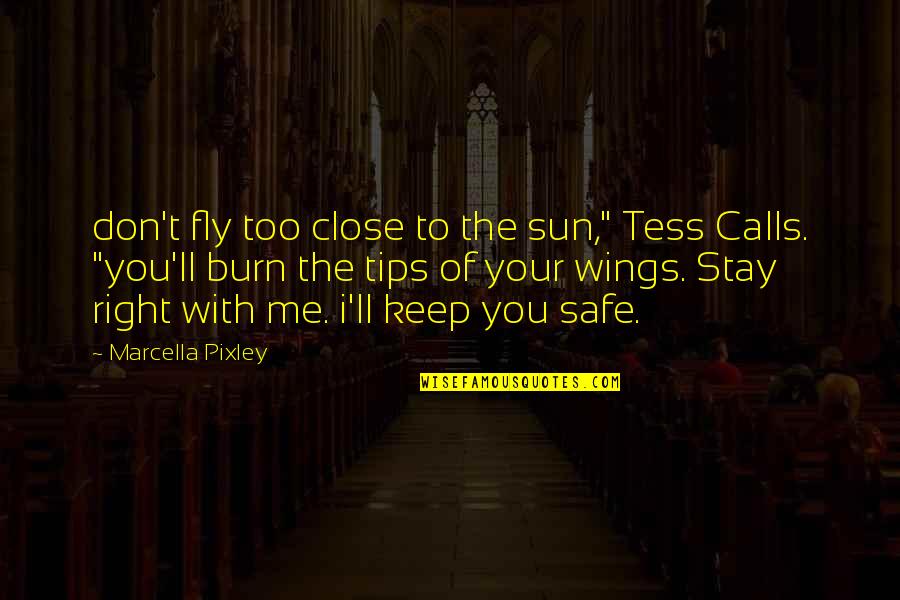 Keep Me With You Quotes By Marcella Pixley: don't fly too close to the sun," Tess