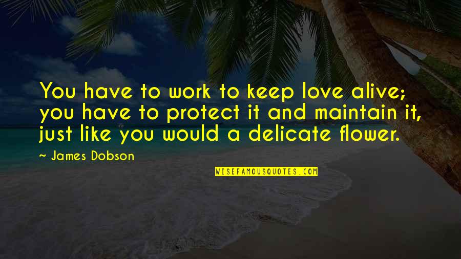 Keep My Love Alive Quotes By James Dobson: You have to work to keep love alive;