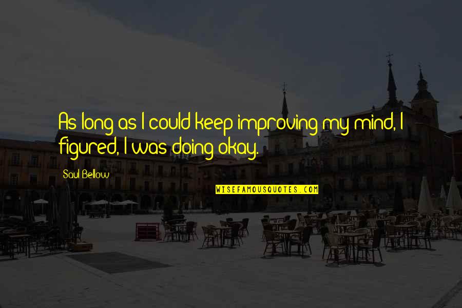 Keep On Improving Quotes By Saul Bellow: As long as I could keep improving my