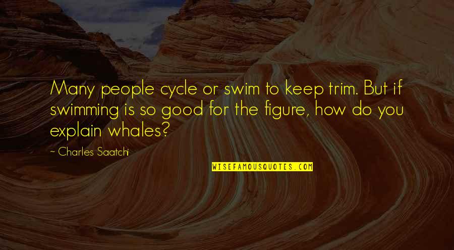 Keep Swimming Quotes By Charles Saatchi: Many people cycle or swim to keep trim. Keep Swimming Quotes By Charles Saatchi: Many people cycle or swim to keep trim.