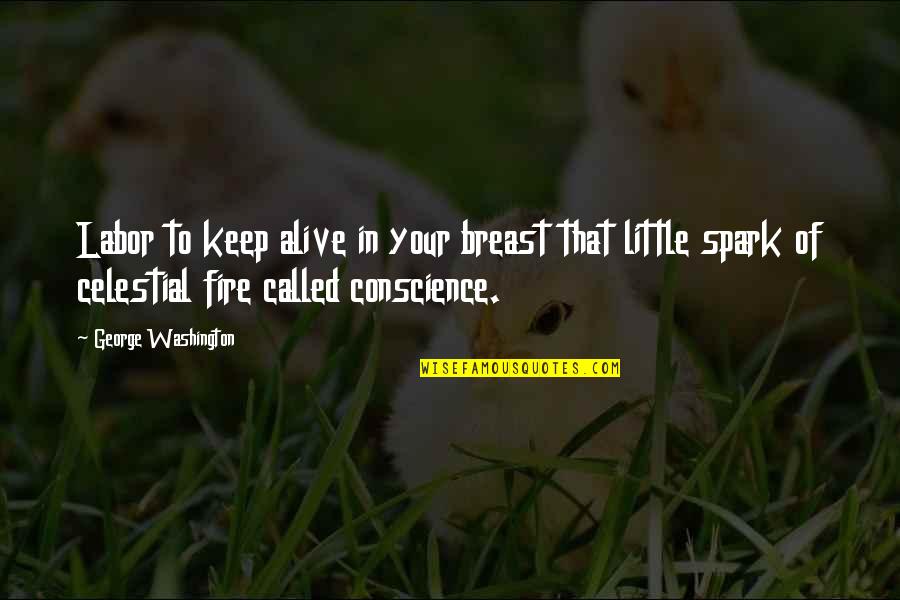 Keep The Fire Alive Quotes By George Washington: Labor to keep alive in your breast that