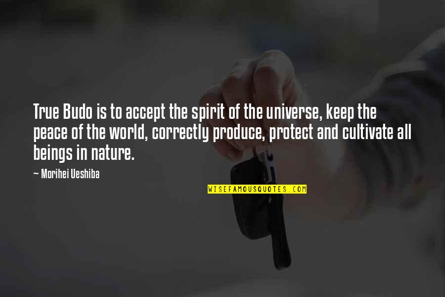 Keep Up Your Spirit Quotes By Morihei Ueshiba: True Budo is to accept the spirit of