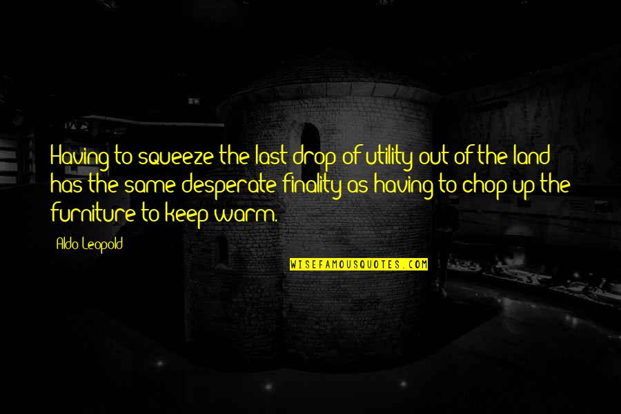 Keep Warm Quotes By Aldo Leopold: Having to squeeze the last drop of utility
