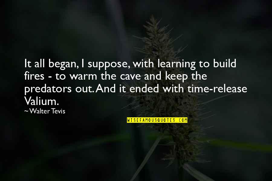 Keep Warm Quotes By Walter Tevis: It all began, I suppose, with learning to