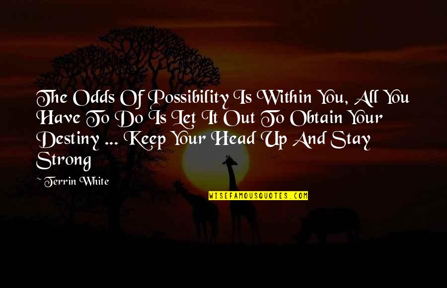 Keep Your Head Quotes By Terrin White: The Odds Of Possibility Is Within You, All
