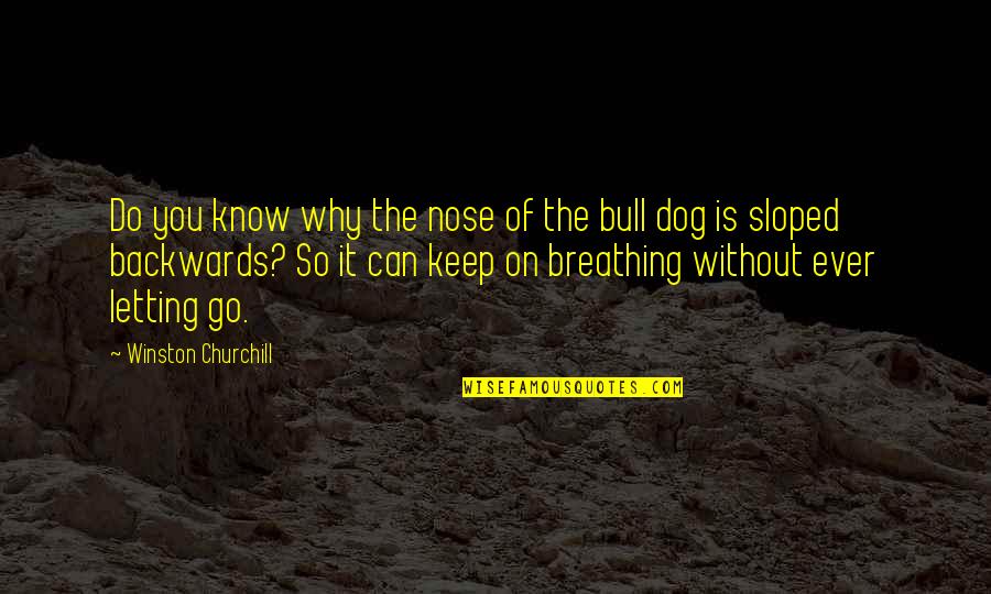 Keep Your Nose Out Quotes By Winston Churchill: Do you know why the nose of the