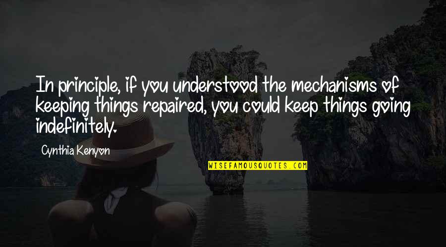 Keeping Going Quotes By Cynthia Kenyon: In principle, if you understood the mechanisms of