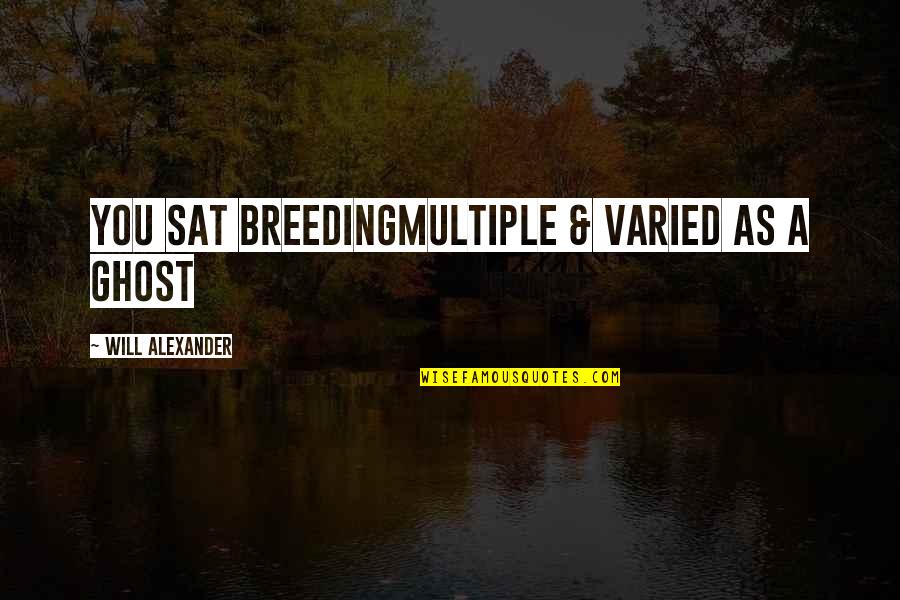 Keeping In Touch With Old Friends Quotes By Will Alexander: you sat breedingmultiple & varied as a ghost