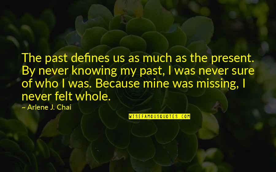 Keeping Sanity Quotes By Arlene J. Chai: The past defines us as much as the