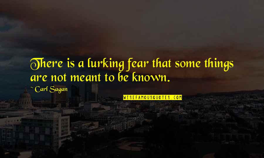 Keeping Things Quotes By Carl Sagan: There is a lurking fear that some things