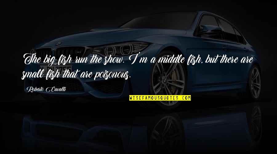 Keerat Parmar Quotes By Roberto Cavalli: The big fish run the show. I'm a Keerat Parmar Quotes By Roberto Cavalli: The big fish run the show. I'm a
