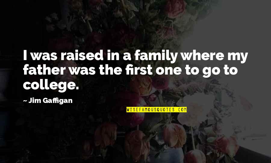 Kehna Kya Quotes By Jim Gaffigan: I was raised in a family where my